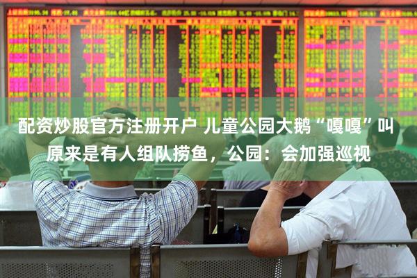 配资炒股官方注册开户 儿童公园大鹅“嘎嘎”叫 原来是有人组队捞鱼，公园：会加强巡视